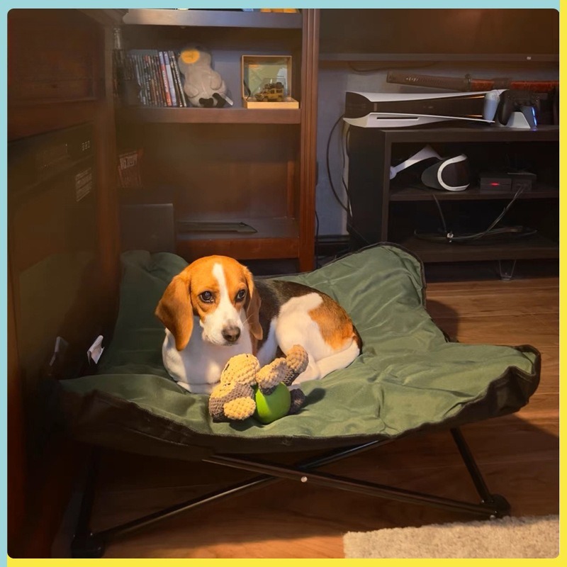 Portable Folding Pet Bed Outdo - Outdoor Camping Dog Bed recension och pris